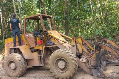 notícia: Polícia Civil apreende em Tomé-Açu veículos e motoserras utilizados em extração ilegal de madeira