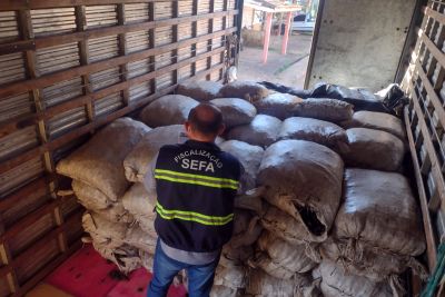 notícia: Sefa apreende 4,75 toneladas de castanha do Pará em Dom Eliseu