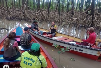 notícia: No Marajó, Ideflor-Bio capacita profissionais para aprimorar turismo de aventura