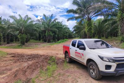 notícia: Pará começa a rastrear produção de dendê com emissão da Guia de Trânsito Vegetal