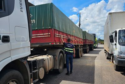 notícia: Sefa apreende 50 toneladas de cimento em Conceição do Araguaia