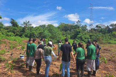 notícia: Alunos da Uepa têm aula prática no 'Refúgio de Vida Silvestre Metrópole da Amazônia'