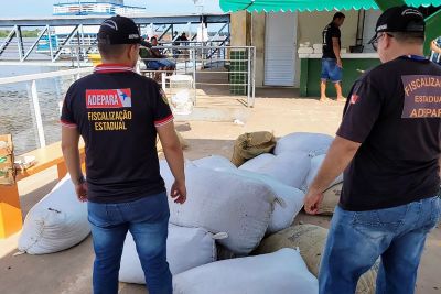 notícia: Fiscais da Adepará apreendem 126 sacas de amêndoas de cacau vindas do Amazonas