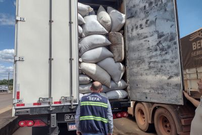 notícia: Sefa apreende 26 toneladas de resíduo de pimenta do reino em Dom Eliseu 