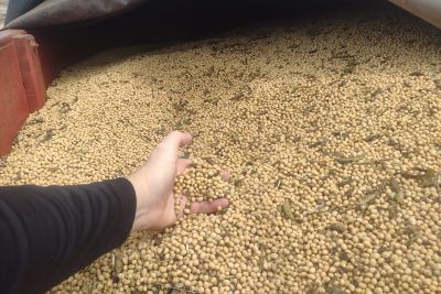 notícia: Sefa e PRF apreendem 40 toneladas de soja sem nota fiscal em Dom Eliseu 