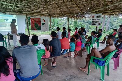 notícia: Curso de identificação e beneficiamento de sementes florestais fortalece comunidades indígenas no Pará