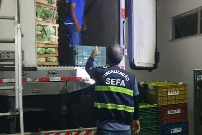 notícia: Sefa apreende 12 toneladas de camarão em Cachoeira do Piriá