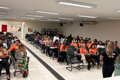 notícia: Operação Caminhos Seguros 2024 finaliza com mais de 400 fiscalizações no Pará