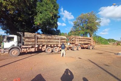 notícia: Sefa apreende gado, madeira e celulares