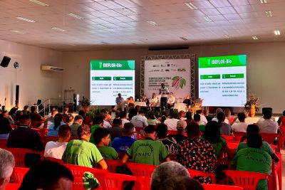notícia: Ideflor-Bio destaca iniciativas sustentáveis em evento sobre Sistemas Agroflorestais com Cacau em Altamira