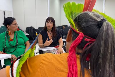 notícia: Belém sedia primeira reunião extraordinária do Conselho Estadual de Política Indigenista de 2024
