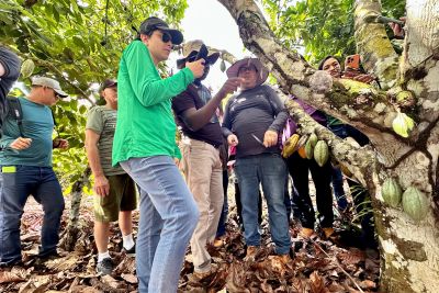 notícia: Técnicos municipais do oeste paraense participam de capacitação em Sistemas Agroflorestais