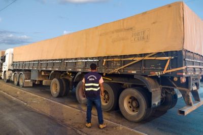 notícia: Mais de 160 toneladas de feijão são apreendidas em Conceição do Araguaia