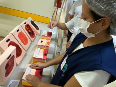 notícia: Hospital Geral de Tailândia reforça protocolo de prevenção de lesões por pressão em seus usuários