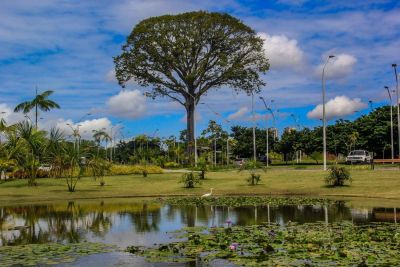 notícia: Parque Estadual do Utinga abre durante todo o mês de julho para lazer e contato com a natureza em Belém