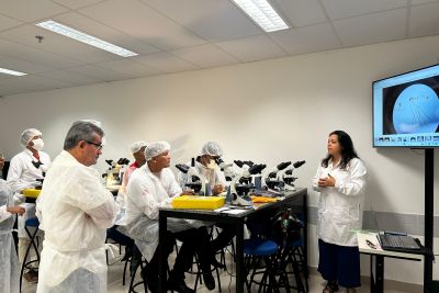 notícia: Secretaria de Saúde Pública do Pará realiza capacitação de entomologistas para diagnóstico de flebotomíneos