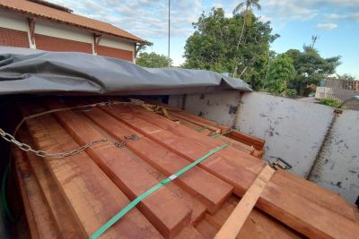 notícia: Secretaria de Estado da Fazenda apreende 37 toneladas de madeira serrada