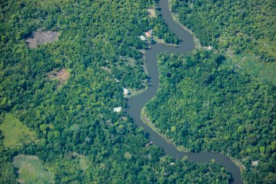 notícia: Pará tem redução de 38% nos alertas de desmatamento em junho de 2024, segundo o Inpe