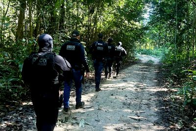 notícia: Polícia Civil desarticula grupo criminoso que realizava grilagem de terras, em Anapu
