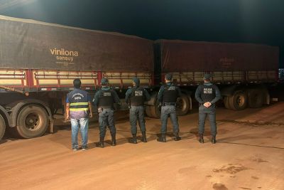 notícia: Sefa apreende 37 toneladas de milho na BR-163, em Santarém