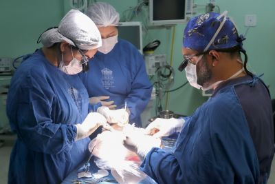 notícia: Fundação Santa Casa do Pará é referência em transplantes renais pediátricos e hepáticos