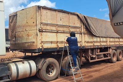 notícia: Sefa apreende quase 50 toneladas de gergelim em Marabá
