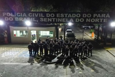 notícia: Polícia Civil combate esquema criminoso que causou prejuízo de mais de R$ 40 milhões 