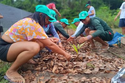 notícia: Formação de agentes agroflorestais impulsiona sustentabilidade na Terra Indígena Alto Rio Guamá