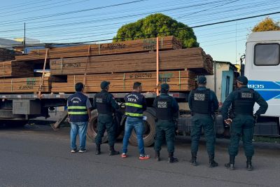 notícia: Sefa apreende 18,79 m3 de ipê em Santarém