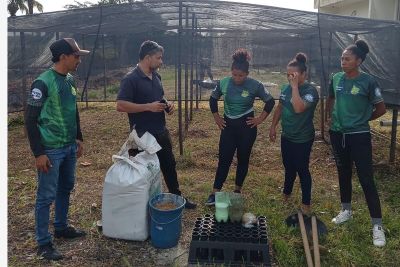 notícia: Estudantes de Salvaterra participam da montagem de viveiro para fortalecer produção de mudas no Marajó