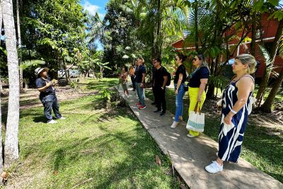 notícia: Estado conduz visita de grupo empresarial a Belém com foco em investimentos para o Parque de Bioeconomia