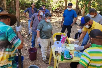 notícia: Agricultores de São Geraldo do Araguaia aprendem técnica de controle fitossanitário