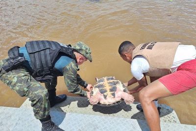 notícia: Equipe da Base Fluvial, no Marajó, faz apreensões e prende dois homens no Rio Tajapuru