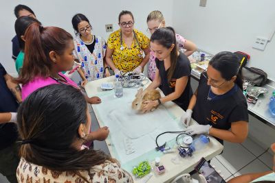 notícia: Mangal realiza curso inédito de emergência e cuidados intensivos de animais silvestres