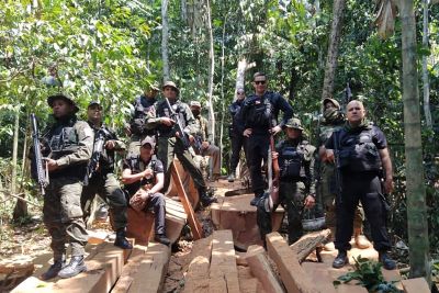 notícia: Operação Curupira ultrapassa 500 dias de atuação e prende dois homens por crime ambiental em São Félix do Xingu 