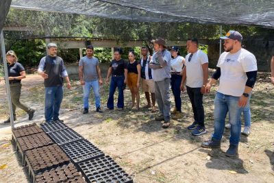 notícia: Técnicos e agricultores de Ponta de Pedras têm capacitação em produção de mudas