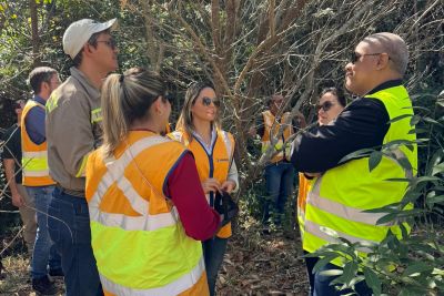 notícia: Estado aprimora licenciamento ambiental com foco na proteção da fauna e flora