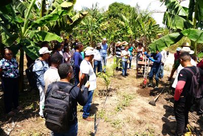 notícia: Emater promove oficina sobre sistemas agroflorestais a agricultores de Nova Ipixuna