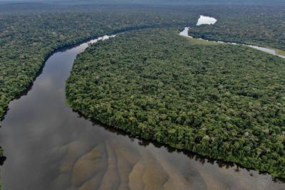 notícia: Ideflor-Bio nomeia membros do Conselho Gestor do Refúgio de Vida Silvestre Rios São Benedito e Azul