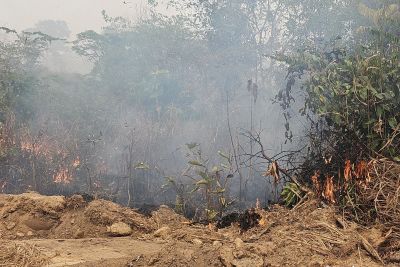 notícia: Em Novo Progresso, agentes do Estado prendem homem em flagrante por atear fogo na mata