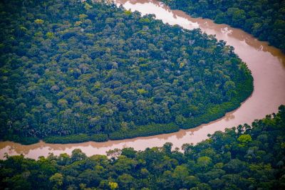 notícia: Estação Ecológica Mamuru completa 1 ano de preservação e proteção da Amazônia