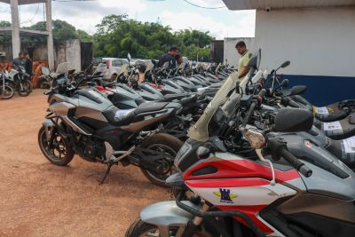 notícia: Seplad realiza 2º leilão público de veículos de 2024, entre carros, vans e motos