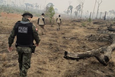 notícia: Governo do Pará intensifica combate a incêndios florestais na região dos rios São Benedito e Azul 