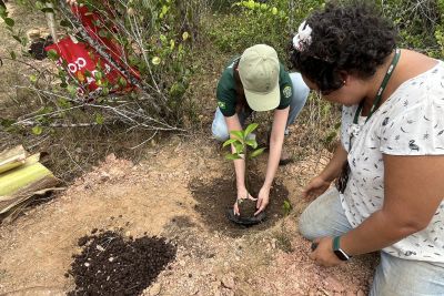 notícia: Plantio de mudas fortalece biodiversidade no Parque Estadual do Utinga