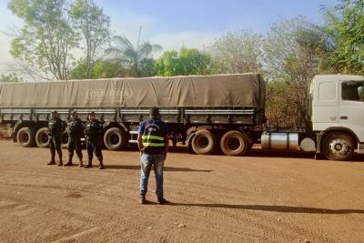 notícia: Sefa apreende 32 toneladas de minério de cobre no Araguaia