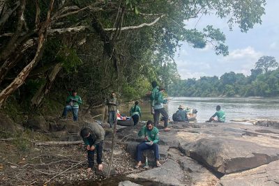 notícia: Expedição à Estação Ecológica Grão-Pará monitora riquezas da floresta tropical