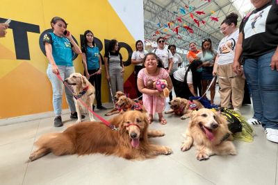 notícia: CIIR encerra ampla programação do ‘Setembro Amarelo’ com ‘Dia do Herói’ e visita dos ‘Goldens’ 