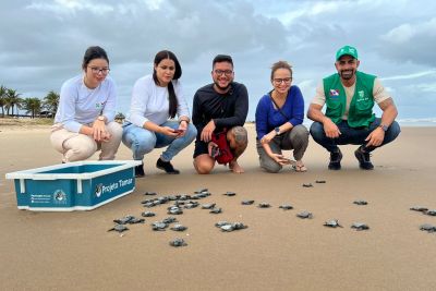 notícia: Biólogos do Ideflor-Bio participam de treinamento no Projeto Tamar em Sergipe