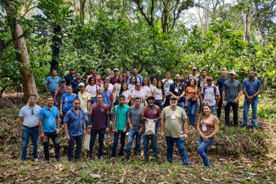 notícia: Produtores atendidos pelo TS participam de capacitação em poda de cacau 