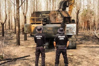 notícia: Polícia Civil apura queimada de cerca de 8 mil hectares de área queimada dentro de fazenda no Pará